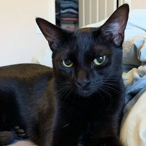 Meet your Posher, Harrison